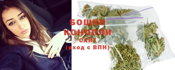 гашик Снежинск