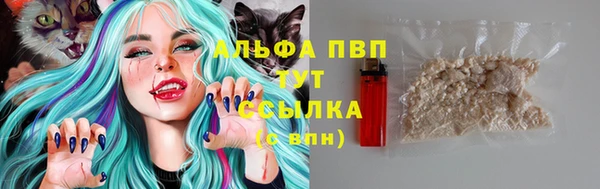 гашик Снежинск
