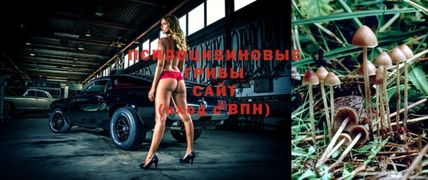 гашик Снежинск