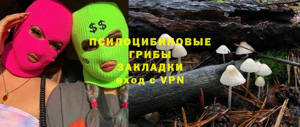 гашик Снежинск