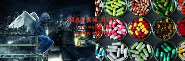 стаф Снежногорск